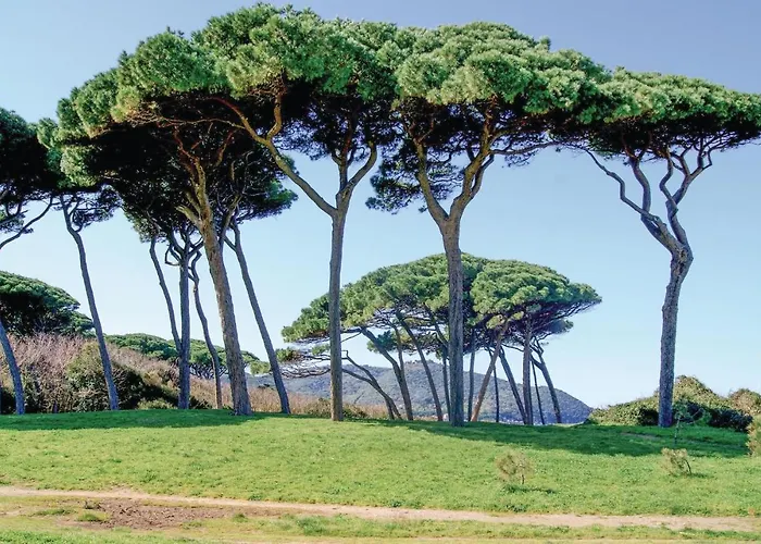 Casa Upupa בית נופש