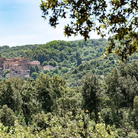 Casa Upupa Hébergement de vacances Sassetta