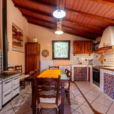 Casa Upupa Sassetta